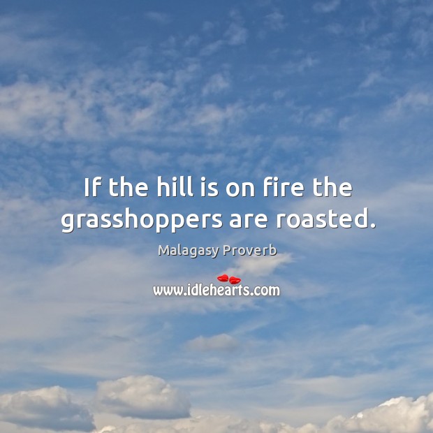 If the hill is on fire the grasshoppers are roasted. Malagasy Proverbs Image
