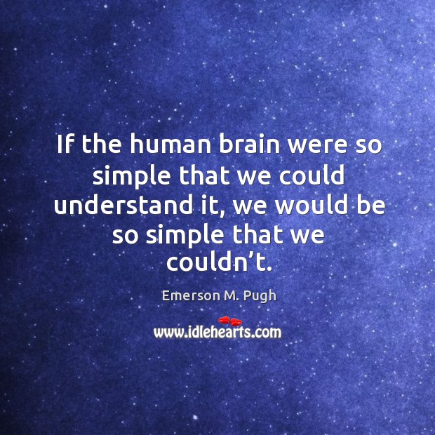 If the human brain were so simple that we could understand it, we would be so simple that we couldn’t. Image