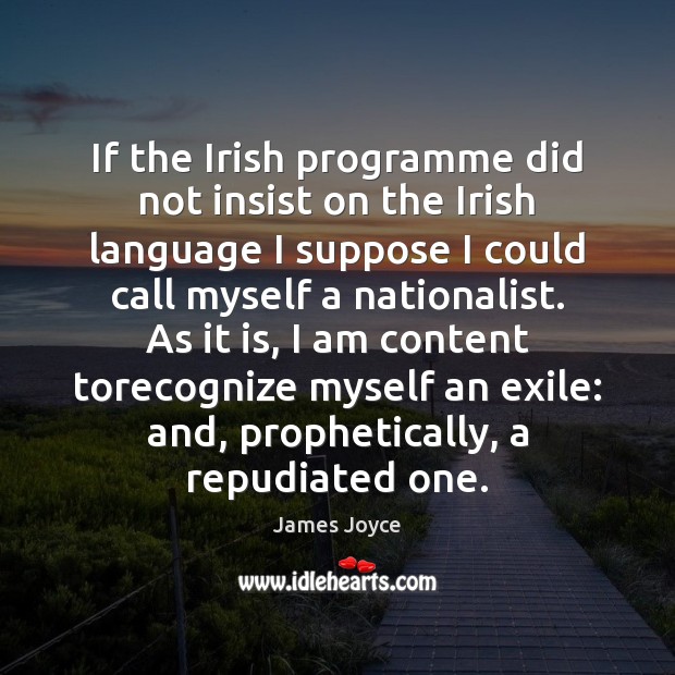 If the Irish programme did not insist on the Irish language I James Joyce Picture Quote
