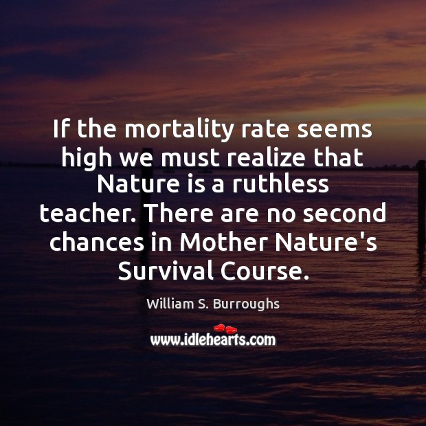If the mortality rate seems high we must realize that Nature is William S. Burroughs Picture Quote