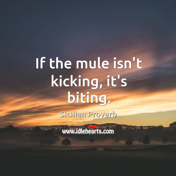If the mule isn’t kicking, it’s biting. Sicilian Proverbs Image