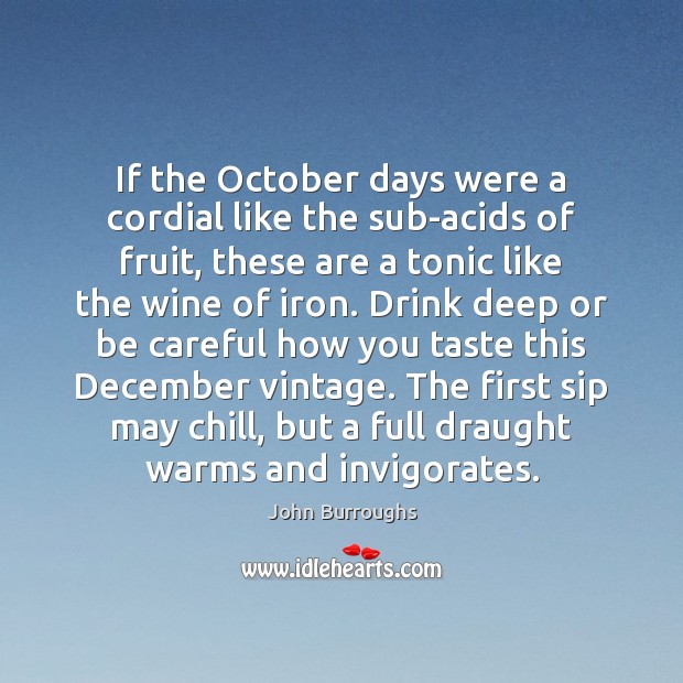 If the October days were a cordial like the sub-acids of fruit, John Burroughs Picture Quote