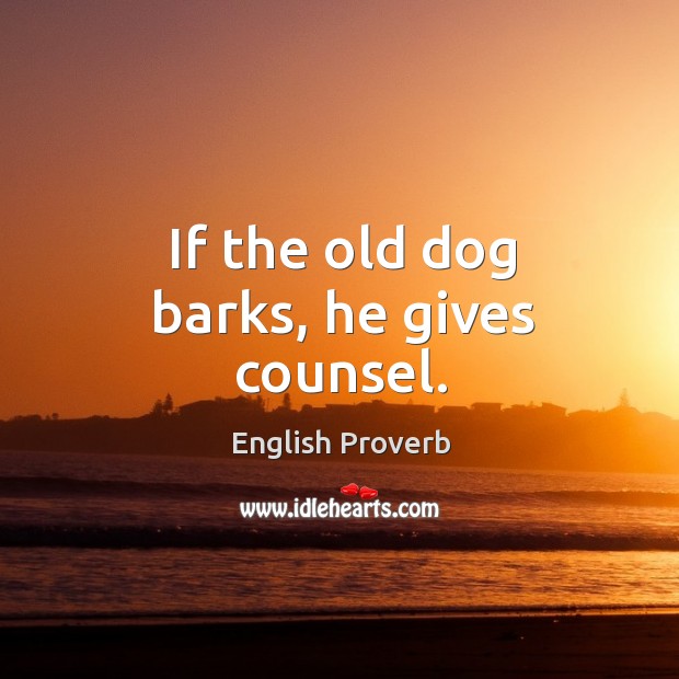 If the old dog barks, he gives counsel. Image