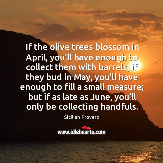 If the olive trees blossom in april, you’ll have enough to collect them with barrels Sicilian Proverbs Image