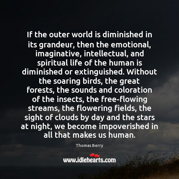 If the outer world is diminished in its grandeur, then the emotional, Thomas Berry Picture Quote