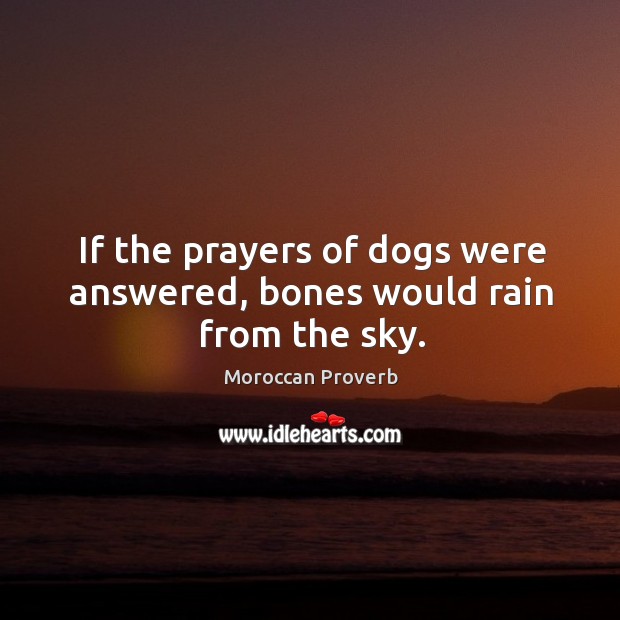If the prayers of dogs were answered, bones would rain from the sky. Moroccan Proverbs Image