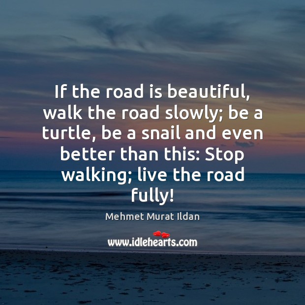 If the road is beautiful, walk the road slowly; be a turtle, Image