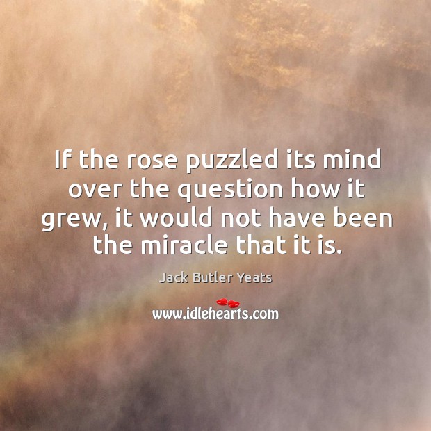 If the rose puzzled its mind over the question how it grew, Jack Butler Yeats Picture Quote