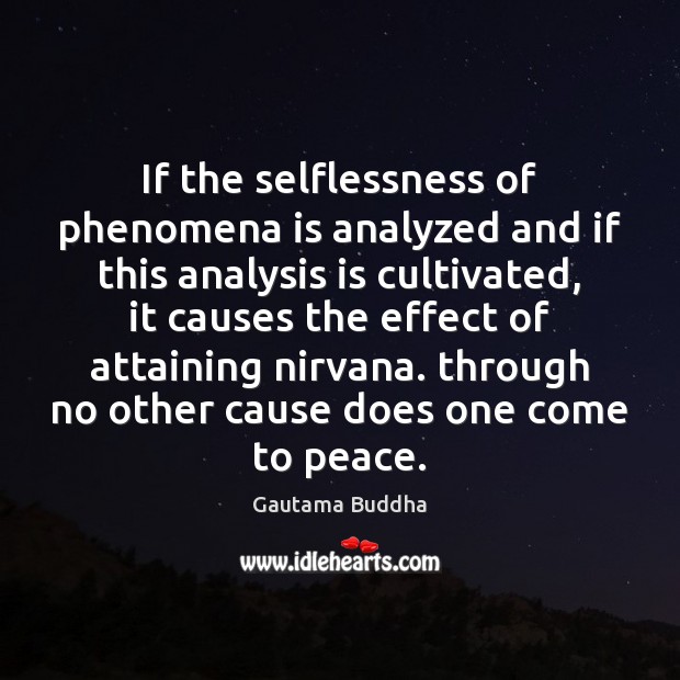 If the selflessness of phenomena is analyzed and if this analysis is Gautama Buddha Picture Quote
