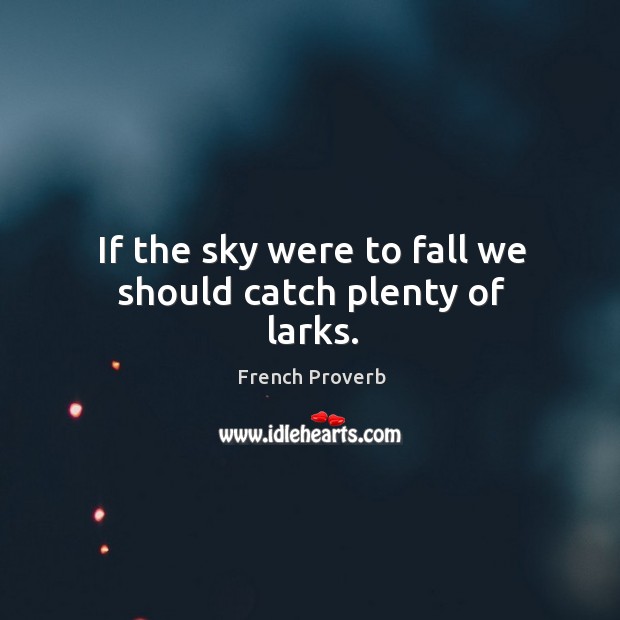 If the sky were to fall we should catch plenty of larks. French Proverbs Image
