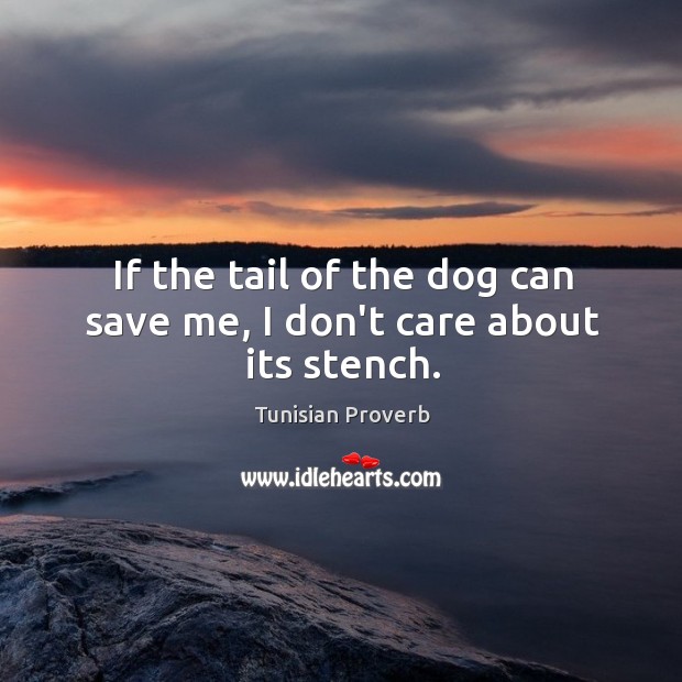 If the tail of the dog can save me, I don’t care about its stench. Tunisian Proverbs Image