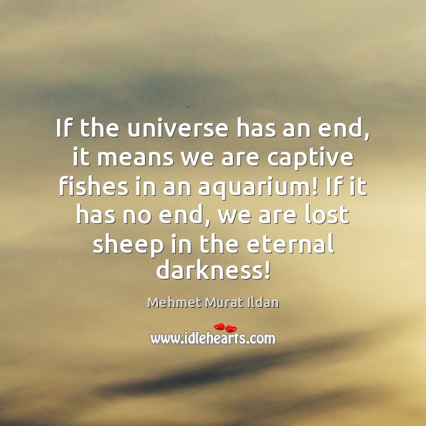 If the universe has an end, it means we are captive fishes Mehmet Murat Ildan Picture Quote