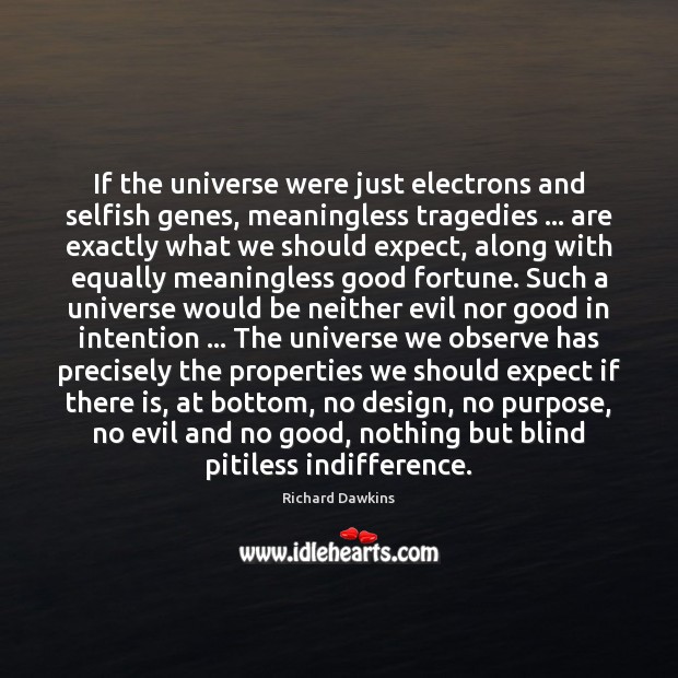 If the universe were just electrons and selfish genes, meaningless tragedies … are Image