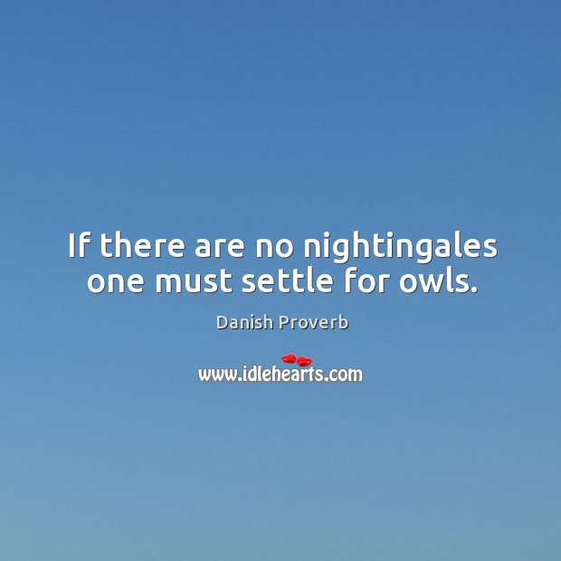 If there are no nightingales one must settle for owls. Danish Proverbs Image