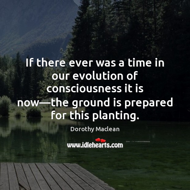 If there ever was a time in our evolution of consciousness it Dorothy Maclean Picture Quote