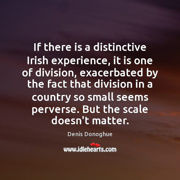 If there is a distinctive Irish experience, it is one of division, Denis Donoghue Picture Quote