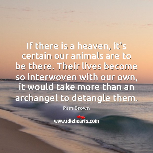 If there is a heaven, it’s certain our animals are to be Pam Brown Picture Quote