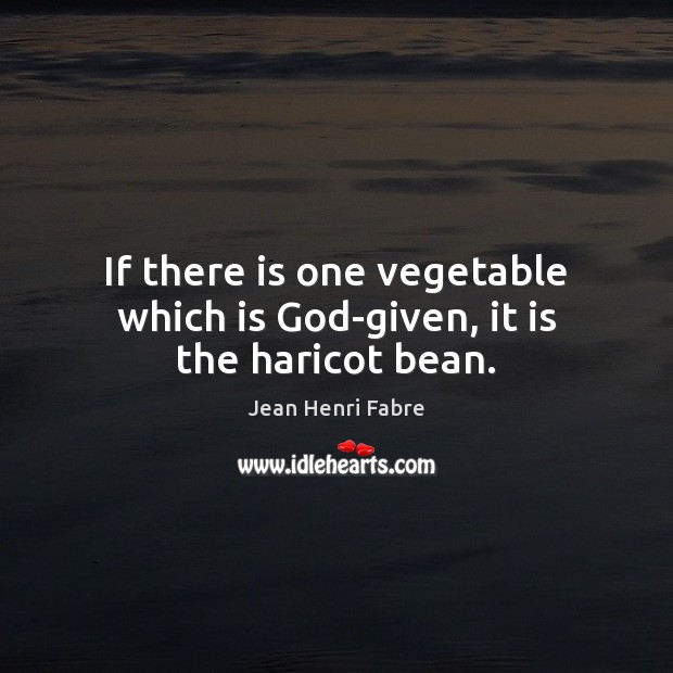 If there is one vegetable which is God-given, it is the haricot bean. Jean Henri Fabre Picture Quote