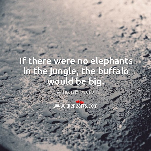 If there were no elephants in the jungle, the buffalo would be big. Image