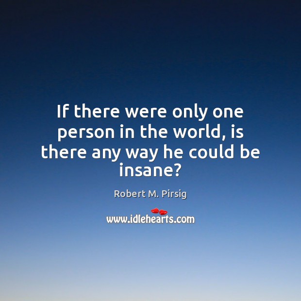 If there were only one person in the world, is there any way he could be insane? Robert M. Pirsig Picture Quote