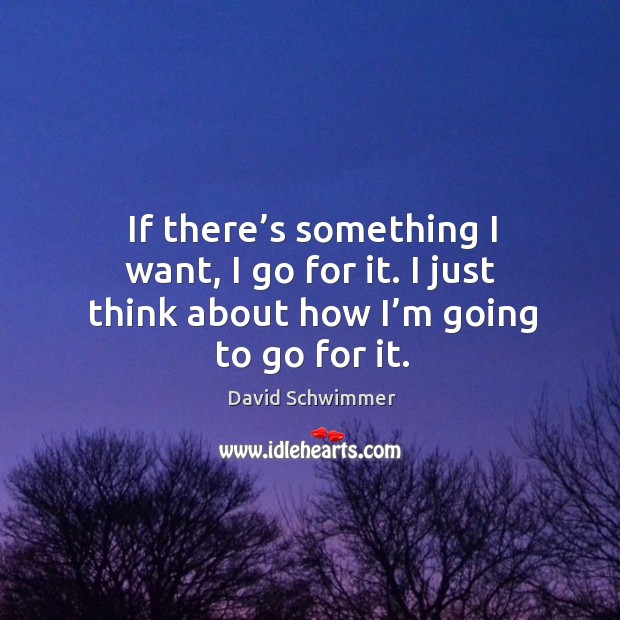 If there’s something I want, I go for it. I just think about how I’m going to go for it. David Schwimmer Picture Quote