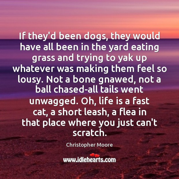 If they’d been dogs, they would have all been in the yard Christopher Moore Picture Quote