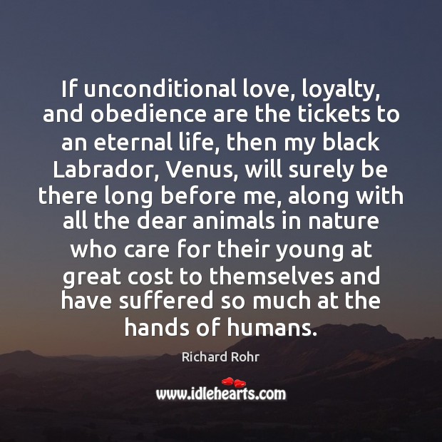 If unconditional love, loyalty, and obedience are the tickets to an eternal Image