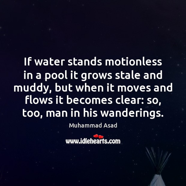 If water stands motionless in a pool it grows stale and muddy, Muhammad Asad Picture Quote