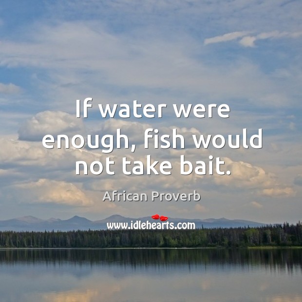 If water were enough, fish would not take bait. African Proverbs Image