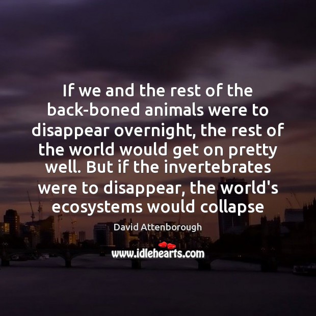If we and the rest of the back-boned animals were to disappear David Attenborough Picture Quote