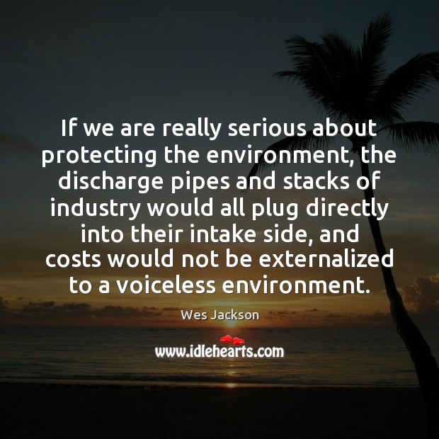 If we are really serious about protecting the environment, the discharge pipes Wes Jackson Picture Quote