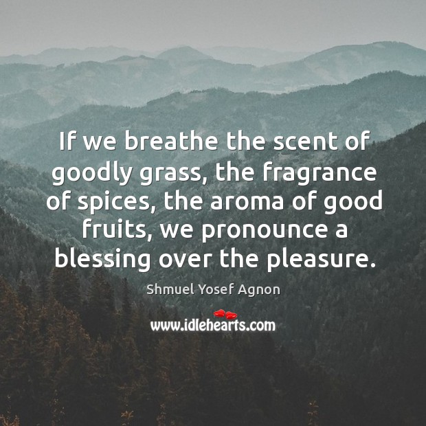 If we breathe the scent of goodly grass, the fragrance of spices, Shmuel Yosef Agnon Picture Quote