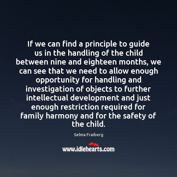 If we can find a principle to guide us in the handling Image