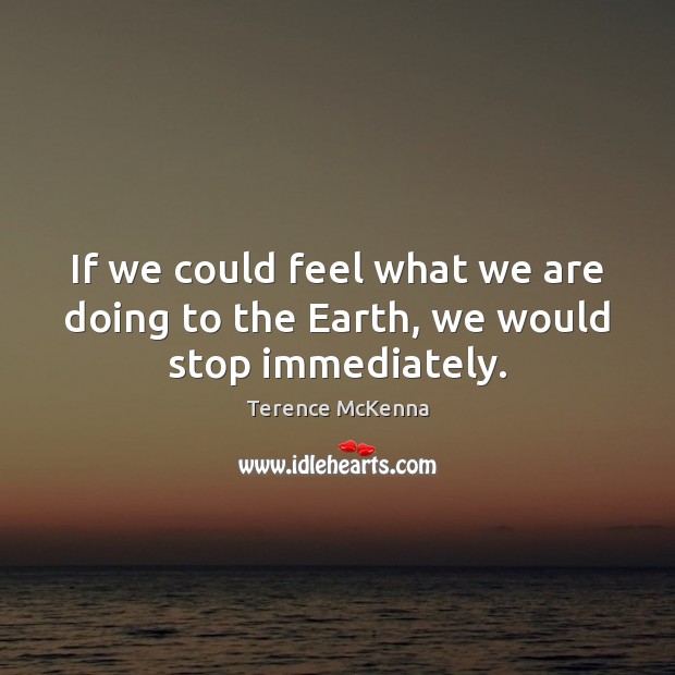 If we could feel what we are doing to the Earth, we would stop immediately. Terence McKenna Picture Quote