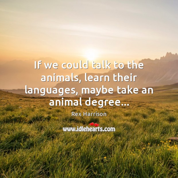 If we could talk to the animals, learn their languages, maybe take an animal degree… Rex Harrison Picture Quote