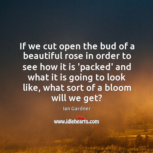 If we cut open the bud of a beautiful rose in order Ian Gardner Picture Quote