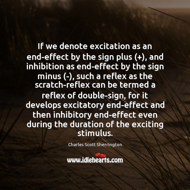 If we denote excitation as an end-effect by the sign plus (+), and Image