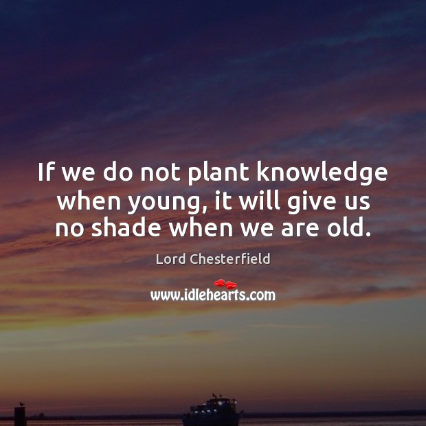 If we do not plant knowledge when young, it will give us no shade when we are old. Lord Chesterfield Picture Quote