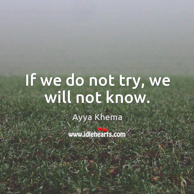 If we do not try, we will not know. Ayya Khema Picture Quote