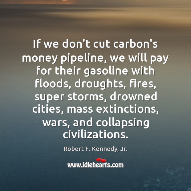 If we don’t cut carbon’s money pipeline, we will pay for their Robert F. Kennedy, Jr. Picture Quote