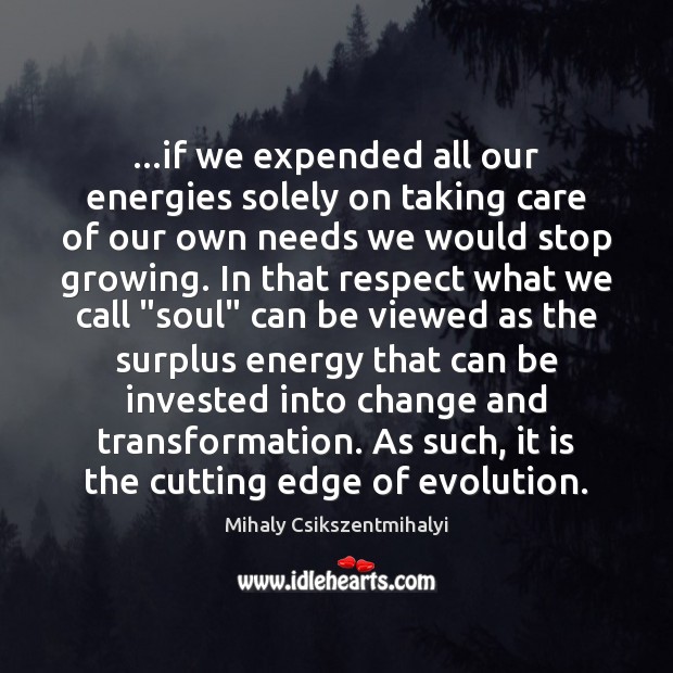 …if we expended all our energies solely on taking care of our Image
