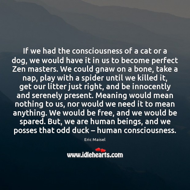 If we had the consciousness of a cat or a dog, we Eric Maisel Picture Quote