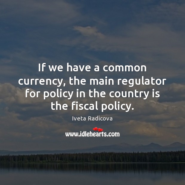 If we have a common currency, the main regulator for policy in Iveta Radicova Picture Quote