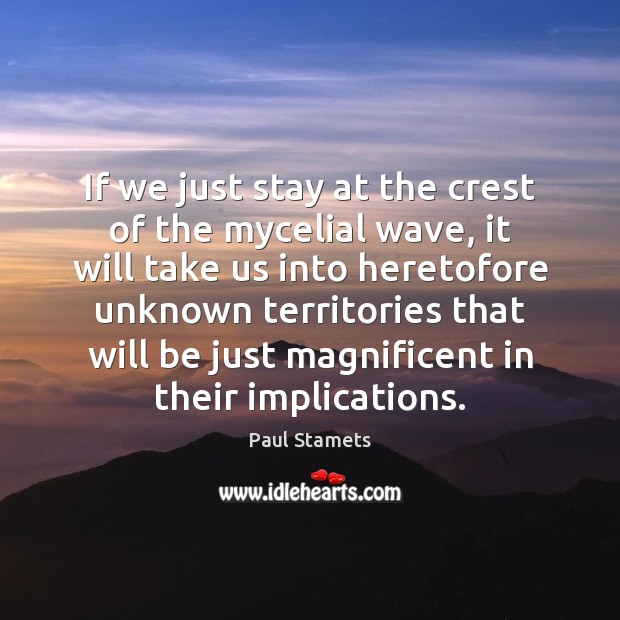 If we just stay at the crest of the mycelial wave, it Paul Stamets Picture Quote