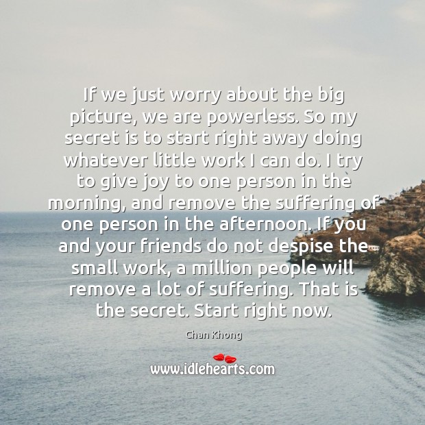 If we just worry about the big picture, we are powerless. So Chan Khong Picture Quote