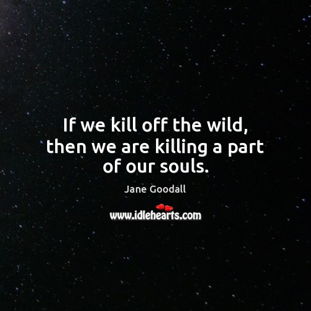 If we kill off the wild, then we are killing a part of our souls. Image