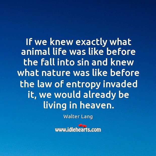 If we knew exactly what animal life was like before the fall into sin and knew what Walter Lang Picture Quote
