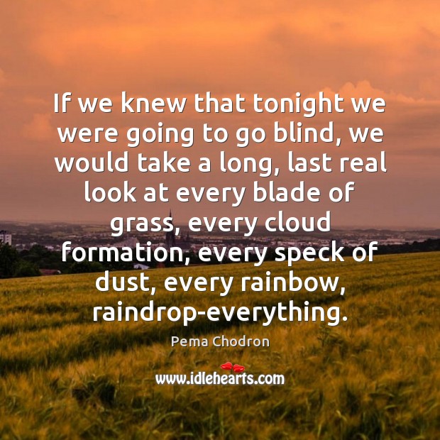 If we knew that tonight we were going to go blind, we Pema Chodron Picture Quote