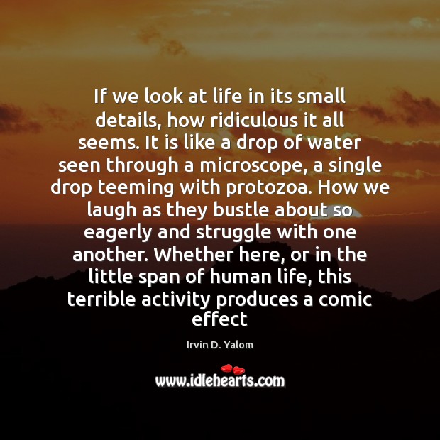 If we look at life in its small details, how ridiculous it Irvin D. Yalom Picture Quote