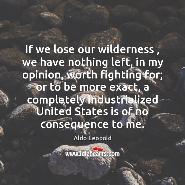 If we lose our wilderness , we have nothing left, in my opinion, Image